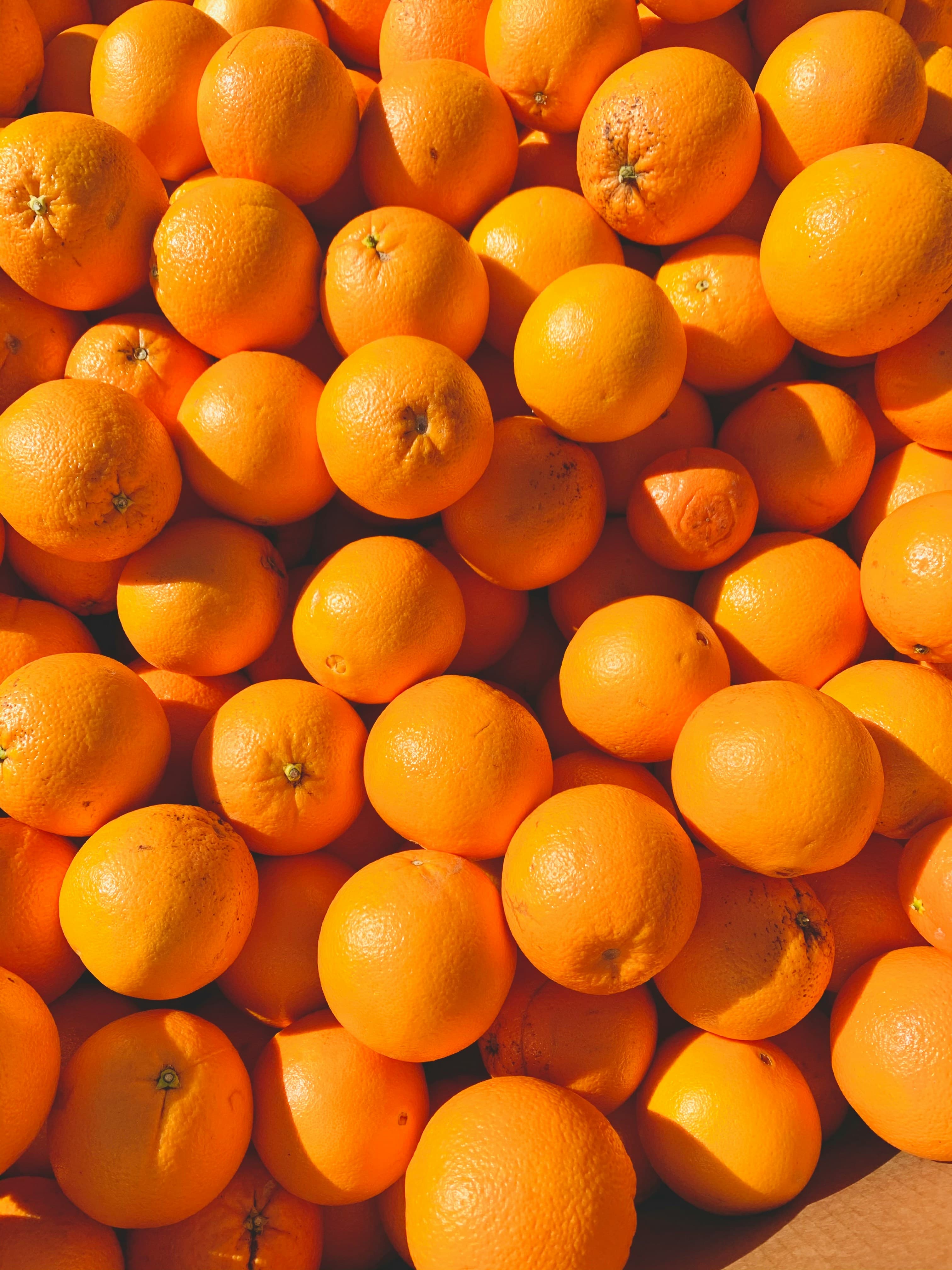 Sweet Navel Orange