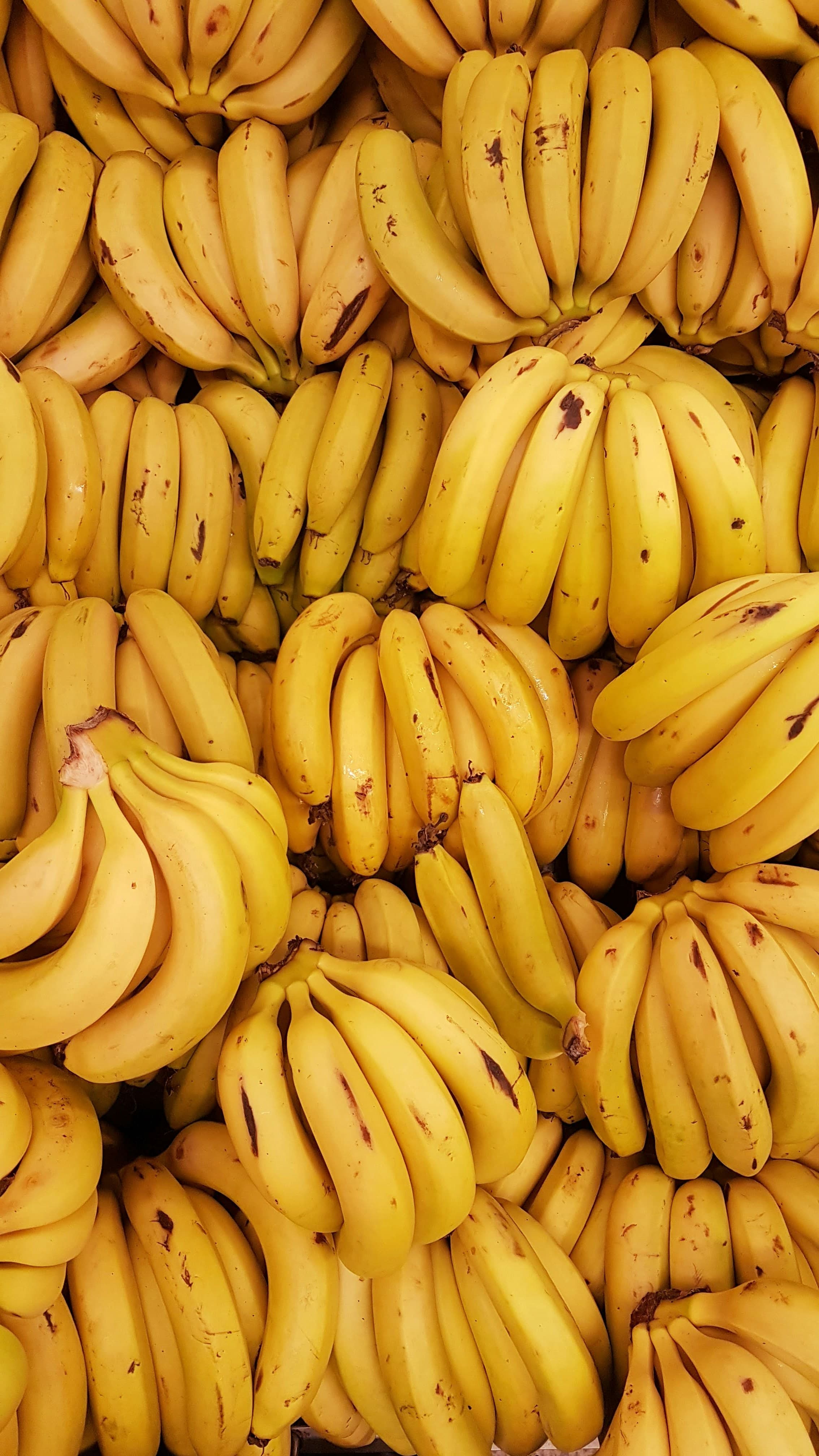 Premium Cavendish Banana