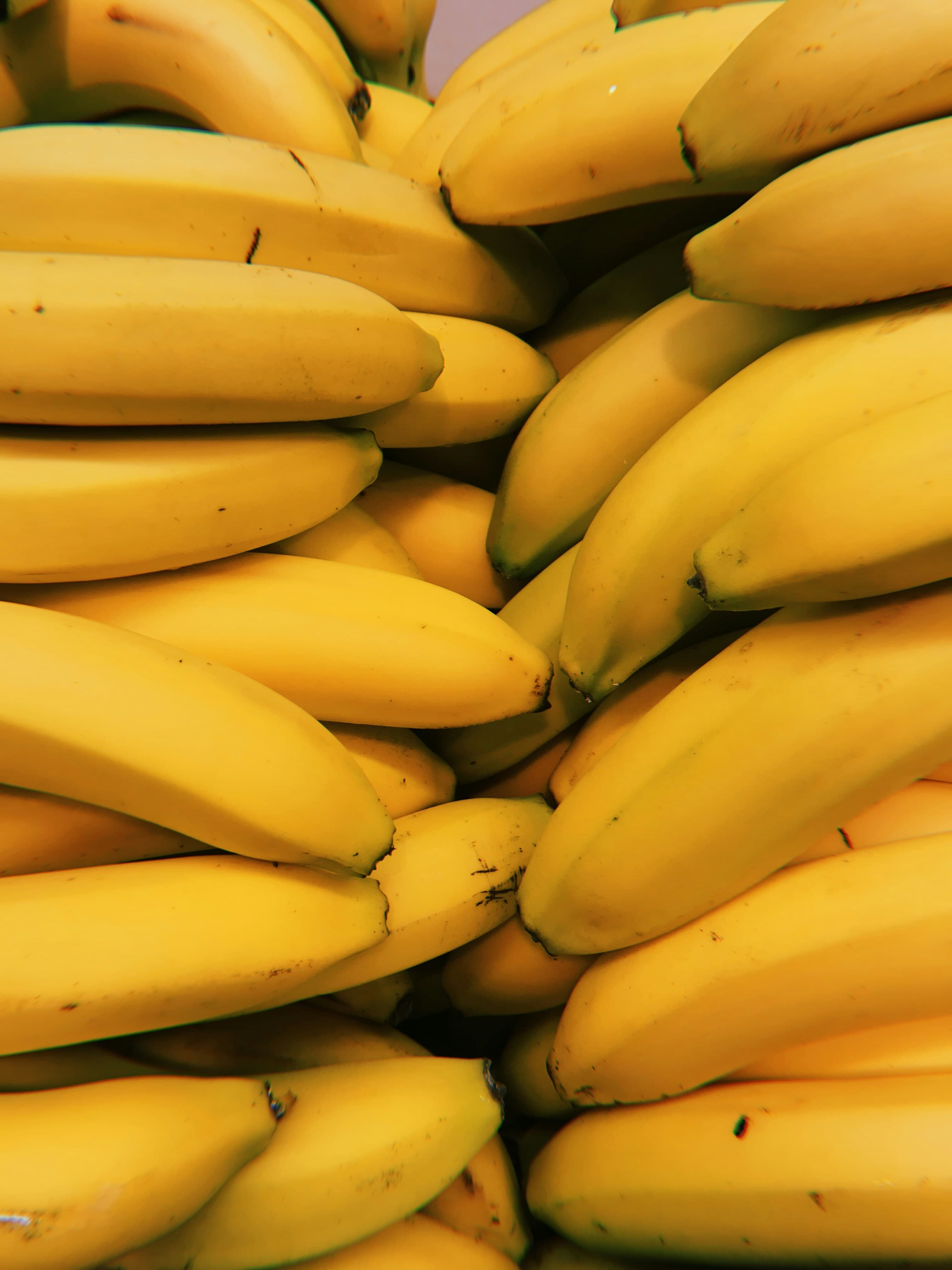 Premium Cavendish Banana