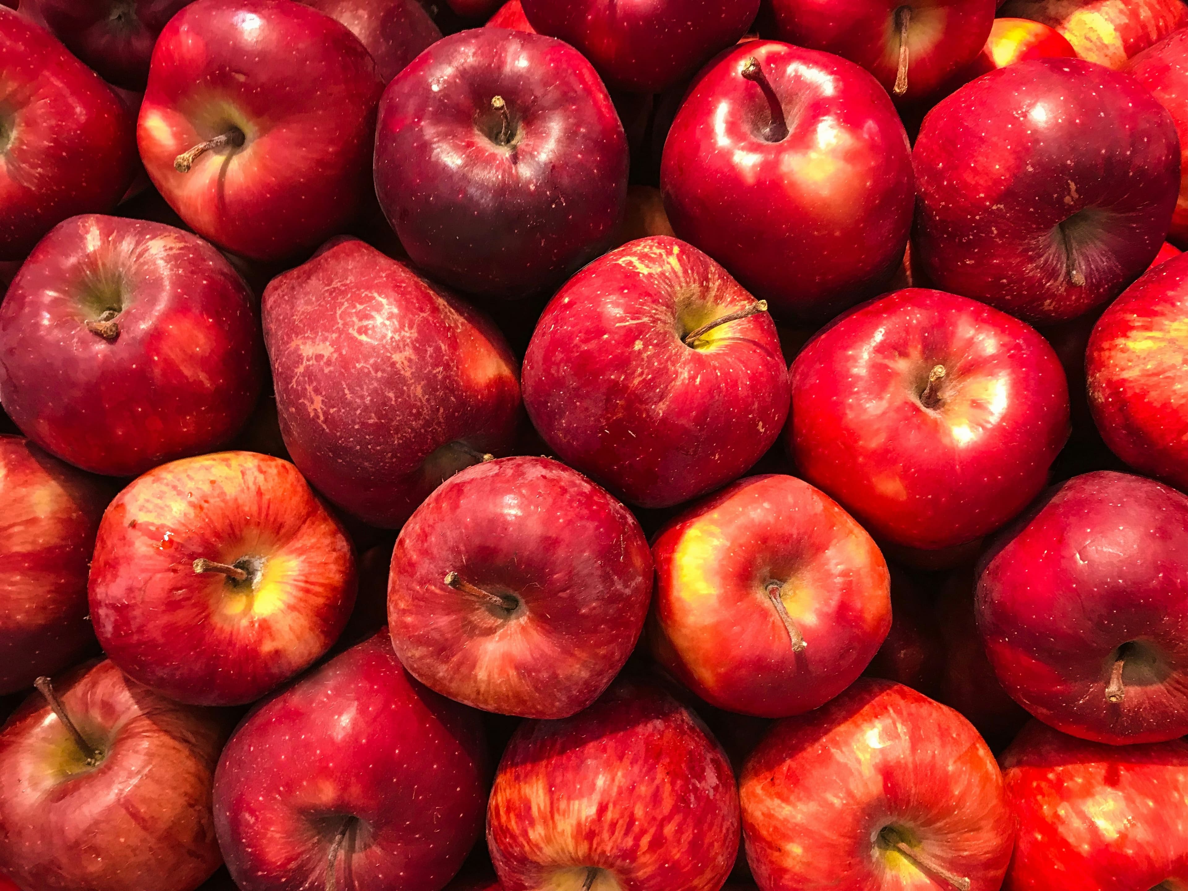 Fresh Red Apple